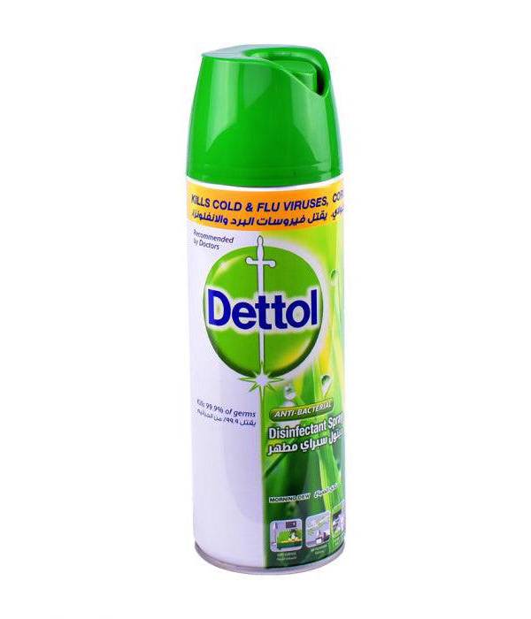 Dettol Anti Bacterial Disinfectant Spray 450ml