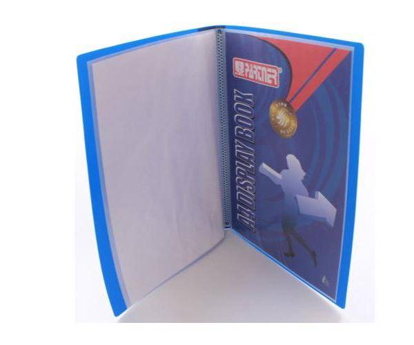 Partner Clear Book A4, Assorted Colors, 10 Pockets